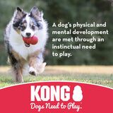 Frisbee KONG Flyer - Disco Voador para Cães com Diversos Tamanhos - AuuPet.com