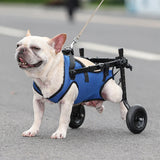 Cadeira de Rodas para Cães Displasia - Ajustável para Deficiência nas Patas Traseiras com Diversos Tamanhos