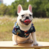 Camisa Havaiana para Animais - Moda Praia Pet com Diversos Modelos e Tamanhos - AuuPet.com